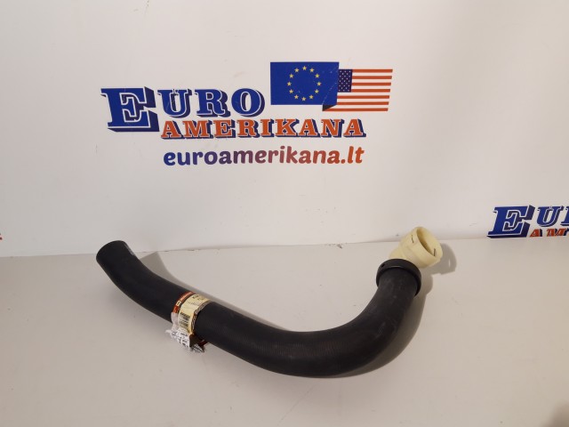 Lower Hose